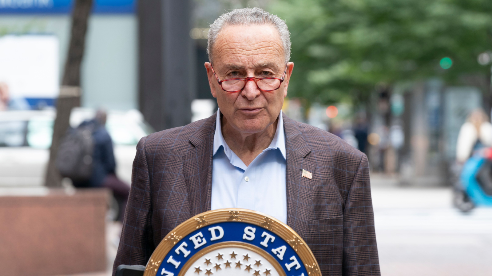 Chuck Schumer 2020 Senator Democrat New York lev radin Shutterstock