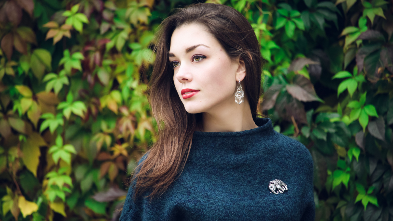 Fashion earrings brooch sweater Liubov Zykova Shutterstock